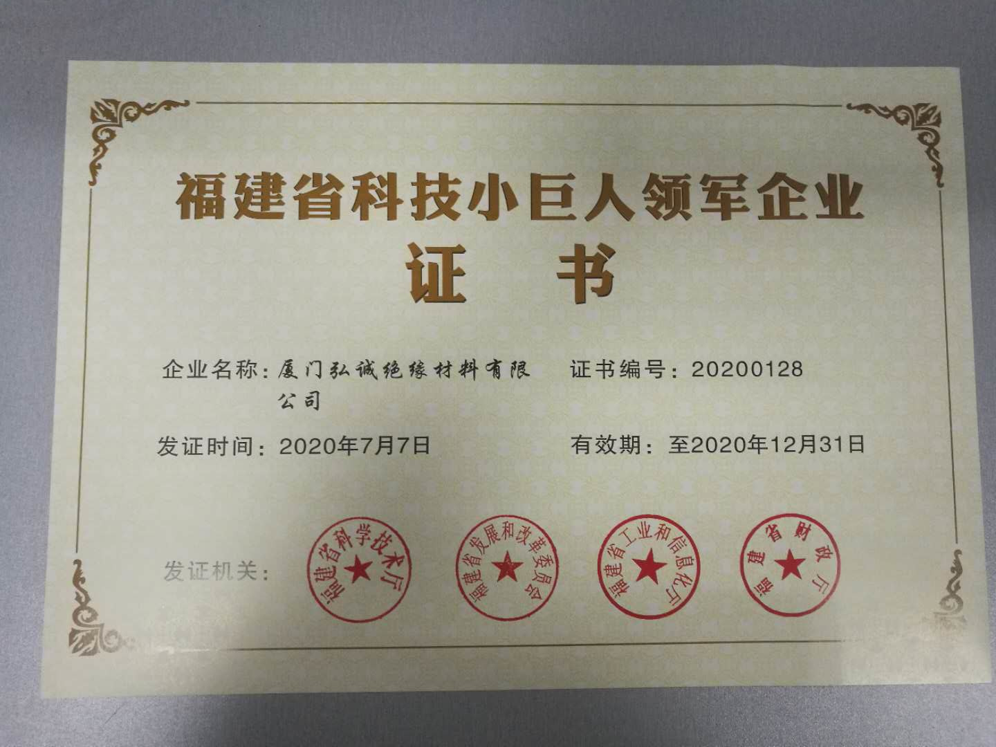 福建省科技小巨人领军企业